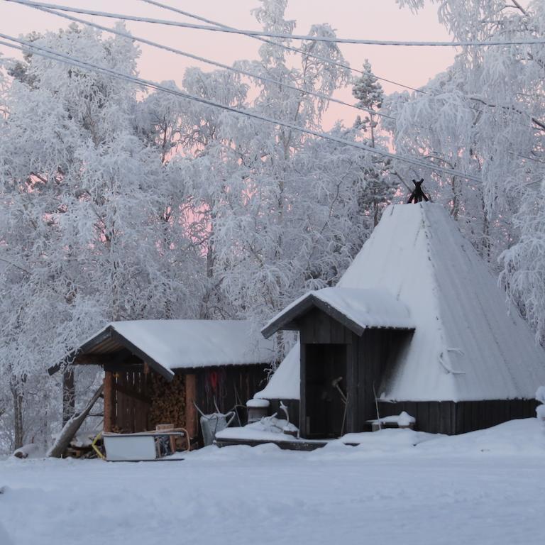 Birk Bed & Birds Bed and Breakfast Svanvik Buitenkant foto