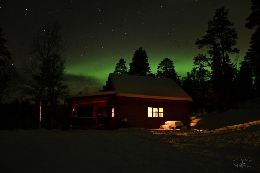 Birk Bed & Birds Bed and Breakfast Svanvik Buitenkant foto
