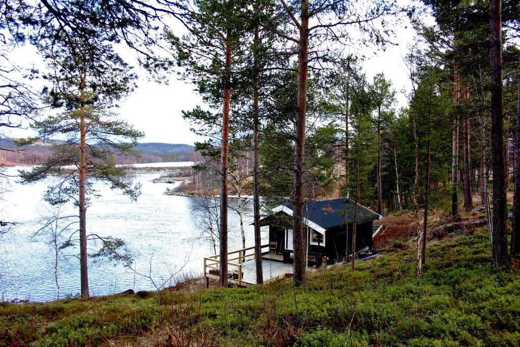 Birk Bed & Birds Bed and Breakfast Svanvik Buitenkant foto