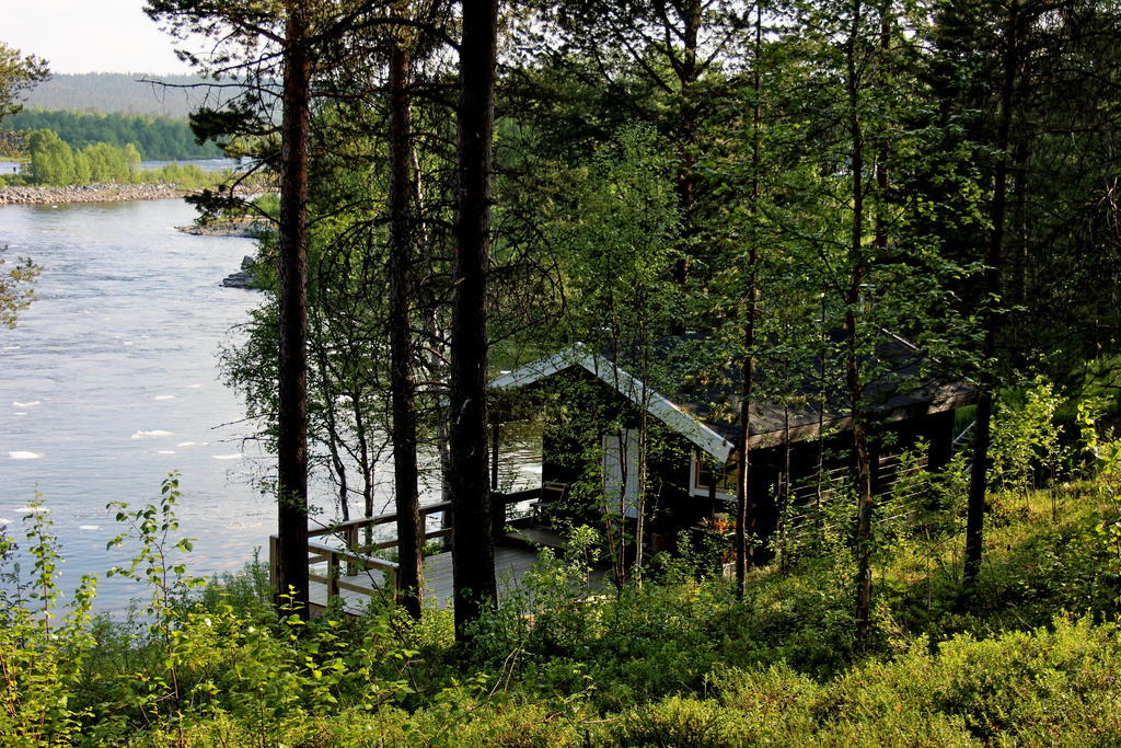 Birk Bed & Birds Bed and Breakfast Svanvik Buitenkant foto