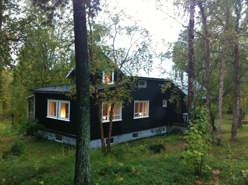 Birk Bed & Birds Bed and Breakfast Svanvik Kamer foto